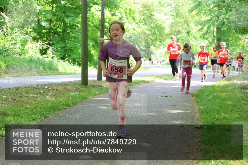 17.05.2025 - Störlauf Strokosch-Dieckow http://msf.ph/oto/7849729 17.05.2025 13:55:46 Laufen 656, 665, 593, 659, 661 meine-sportfotos.de