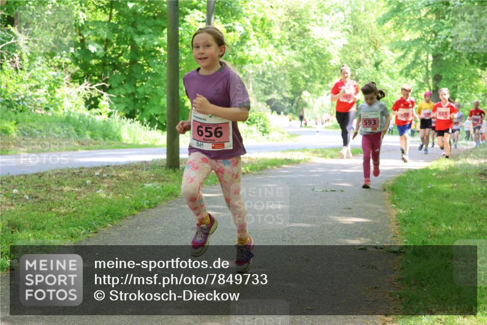 17.05.2025 - Störlauf Strokosch-Dieckow http://msf.ph/oto/7849733 17.05.2025 13:55:46 Laufen 2025, 656, 593, 661 meine-sportfotos.de