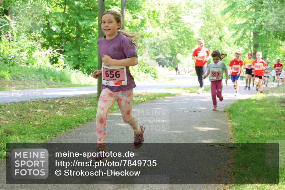 17.05.2025 - Störlauf Strokosch-Dieckow http://msf.ph/oto/7849735 17.05.2025 13:55:46 Laufen 2025, 656, 593, 659, 661 meine-sportfotos.de