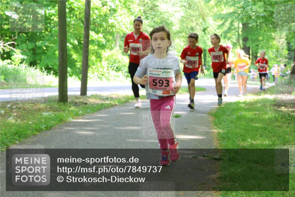 17.05.2025 - Störlauf Strokosch-Dieckow http://msf.ph/oto/7849737 17.05.2025 13:55:48 Laufen 665, 2025, 593, 661, 659 meine-sportfotos.de