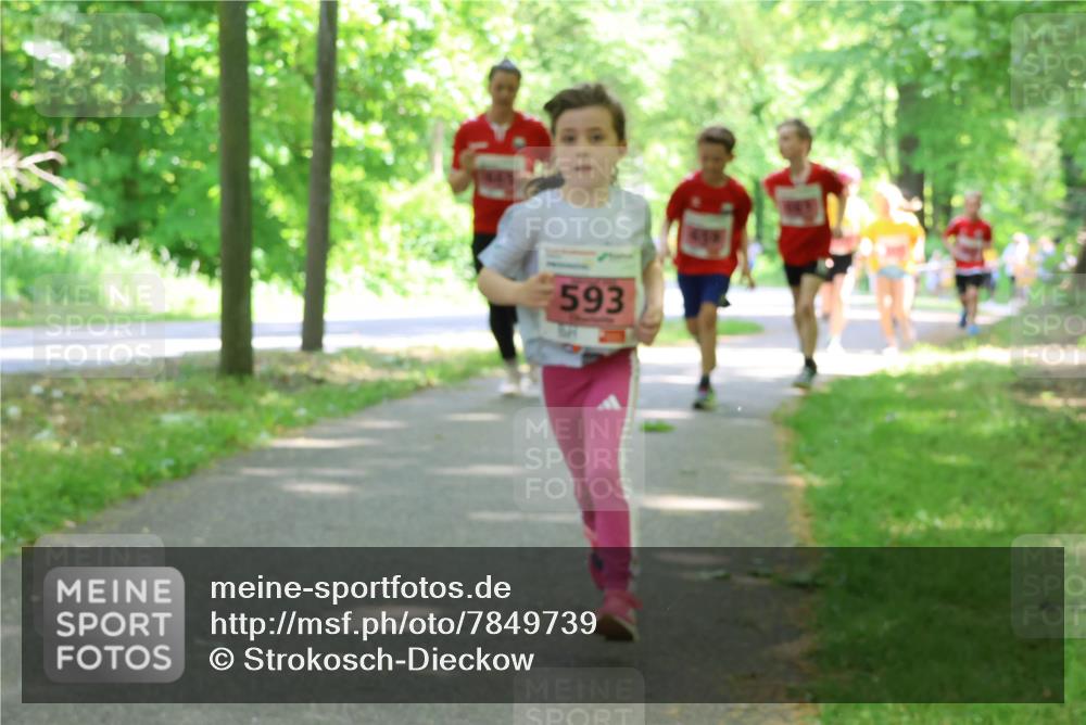 17.05.2025 - Störlauf Strokosch-Dieckow http://msf.ph/oto/7849739 17.05.2025 13:55:48 Laufen 593 meine-sportfotos.de