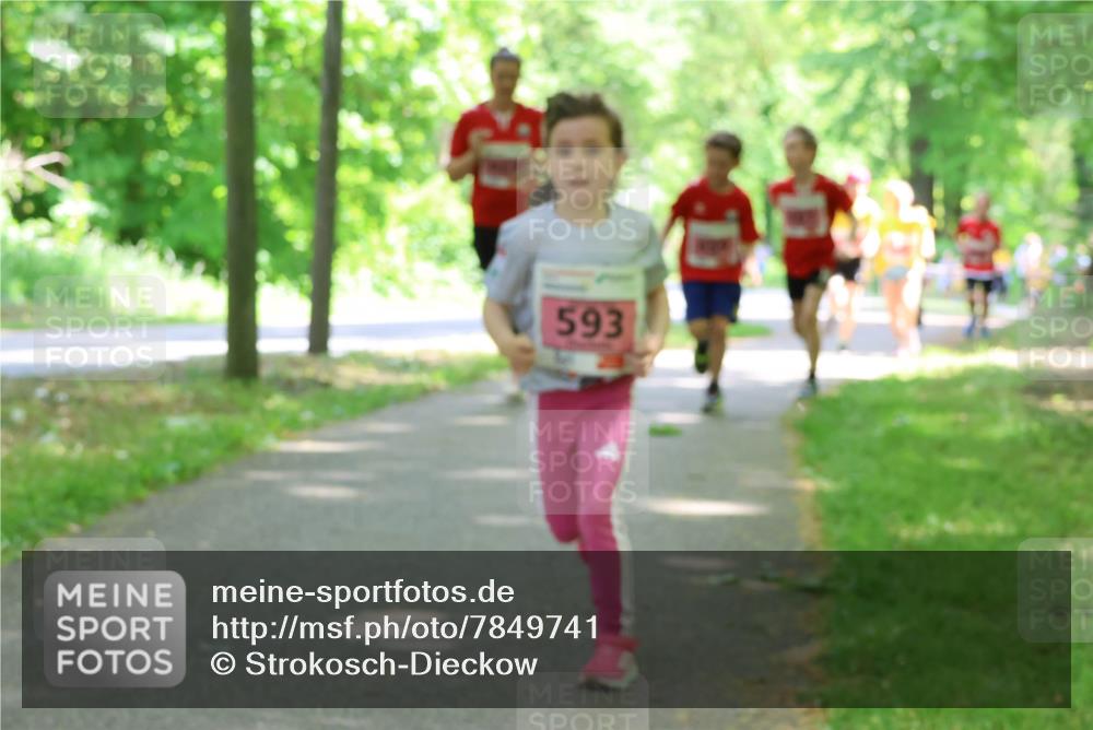 17.05.2025 - Störlauf Strokosch-Dieckow http://msf.ph/oto/7849741 17.05.2025 13:55:48 Laufen 593 meine-sportfotos.de
