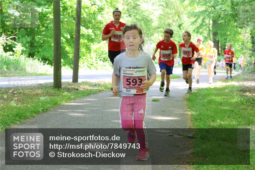 17.05.2025 - Störlauf Strokosch-Dieckow http://msf.ph/oto/7849743 17.05.2025 13:55:48 Laufen 665, 2025, 593, 661, 659 meine-sportfotos.de