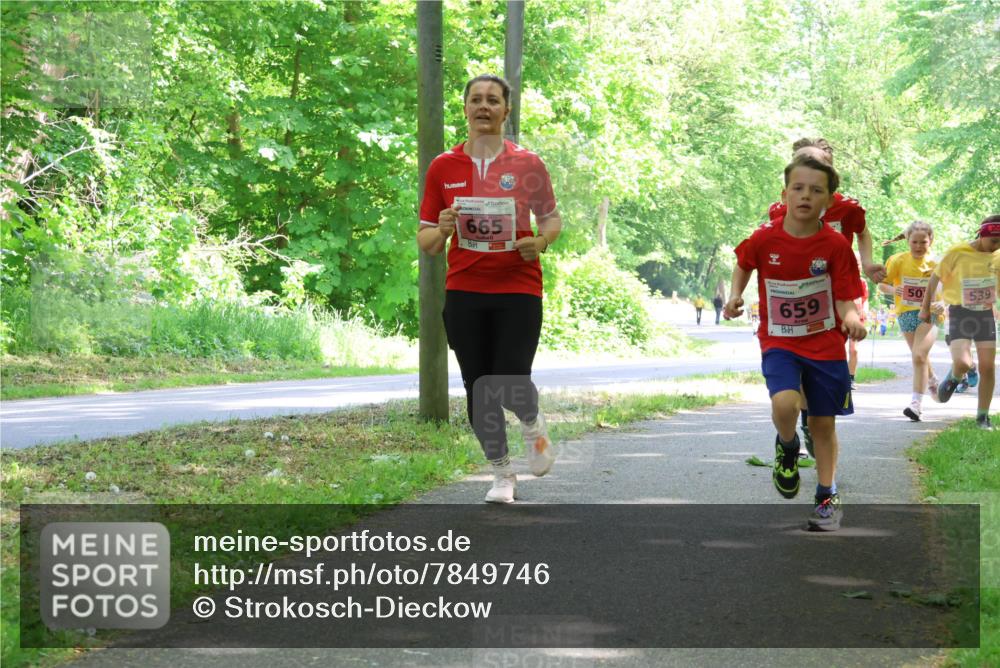 17.05.2025 - Störlauf Strokosch-Dieckow http://msf.ph/oto/7849746 17.05.2025 13:55:50 Laufen 665, 659, 50, 539 meine-sportfotos.de