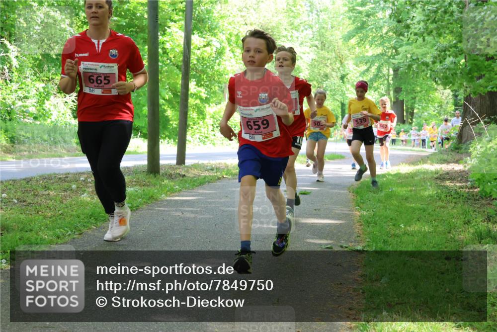 17.05.2025 - Störlauf Strokosch-Dieckow http://msf.ph/oto/7849750 17.05.2025 13:55:50 Laufen 2025, 665, 2025, 659, 50, 539, 662 meine-sportfotos.de