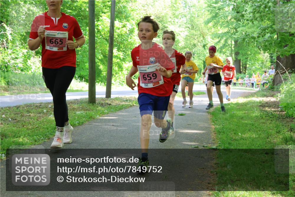 17.05.2025 - Störlauf Strokosch-Dieckow http://msf.ph/oto/7849752 17.05.2025 13:55:50 Laufen 665, 659, 70, 539, 562 meine-sportfotos.de
