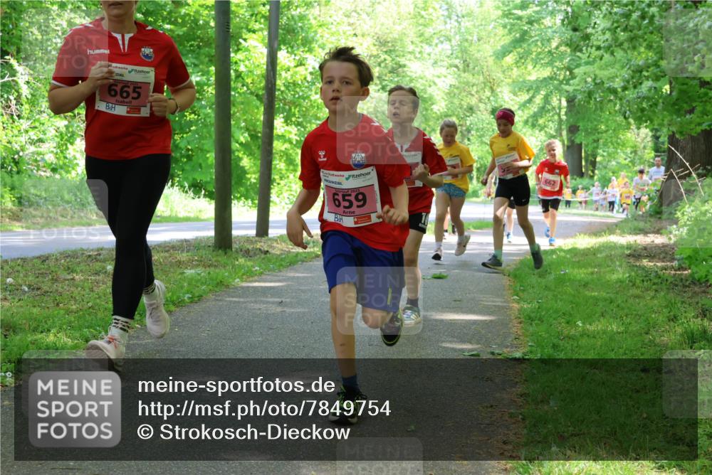 17.05.2025 - Störlauf Strokosch-Dieckow http://msf.ph/oto/7849754 17.05.2025 13:55:50 Laufen 2025, 665, 2025, 659, 662 meine-sportfotos.de
