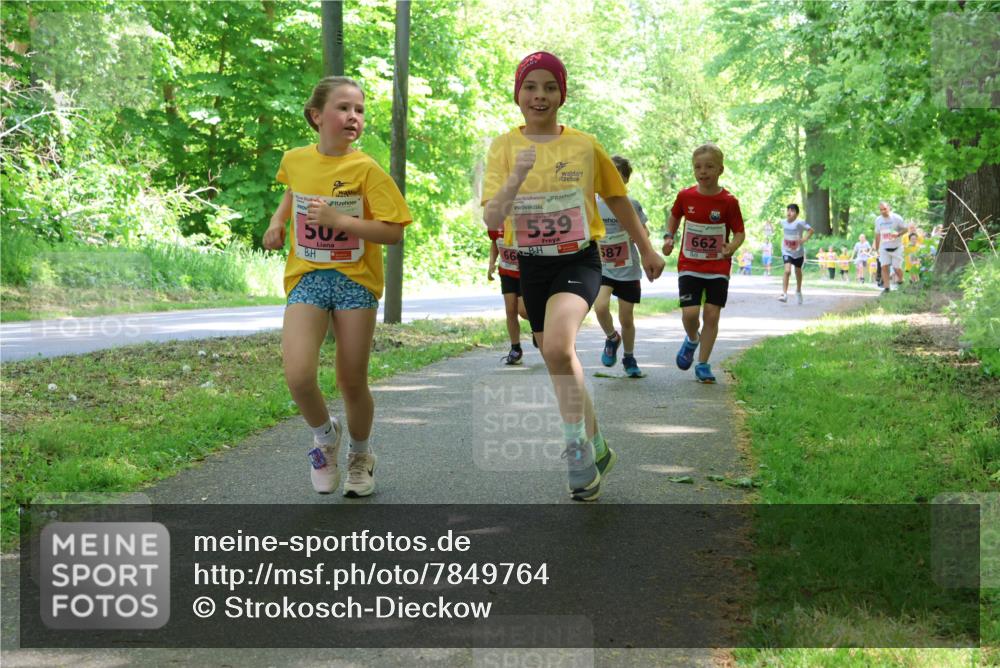 17.05.2025 - Störlauf Strokosch-Dieckow http://msf.ph/oto/7849764 17.05.2025 13:55:53 Laufen 502, 539, 66, 587, 662 meine-sportfotos.de