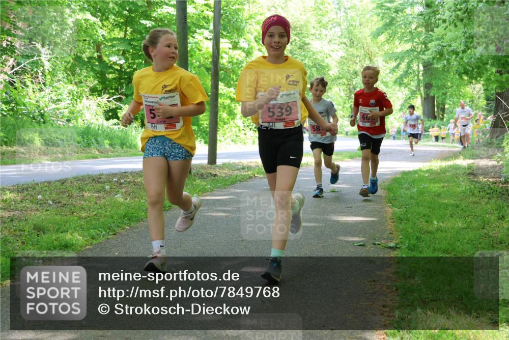 17.05.2025 - Störlauf Strokosch-Dieckow http://msf.ph/oto/7849768 17.05.2025 13:55:53 Laufen 5, 2025, 539, 58, 66 meine-sportfotos.de