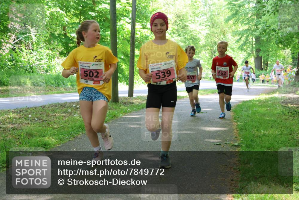 17.05.2025 - Störlauf Strokosch-Dieckow http://msf.ph/oto/7849772 17.05.2025 13:55:53 Laufen 502, 5, 2025, 539, 587, 662 meine-sportfotos.de