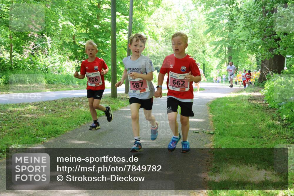 17.05.2025 - Störlauf Strokosch-Dieckow http://msf.ph/oto/7849782 17.05.2025 13:55:55 Laufen 666, 587, 662 meine-sportfotos.de