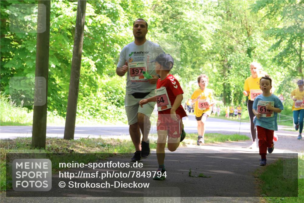 17.05.2025 - Störlauf Strokosch-Dieckow http://msf.ph/oto/7849794 17.05.2025 13:56:00 Laufen 397, 64, 516, 50, 614 meine-sportfotos.de