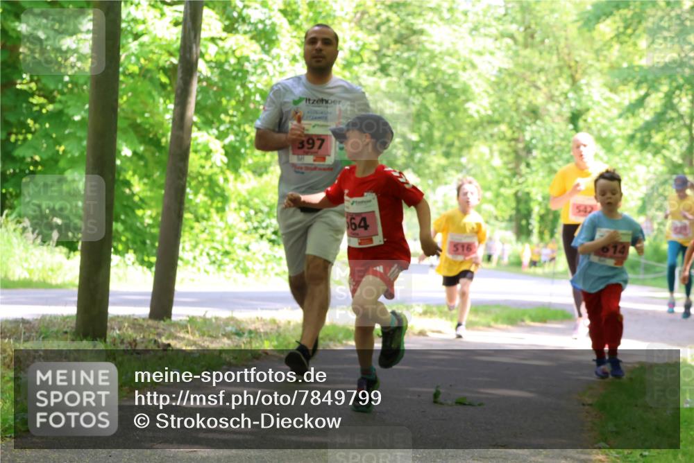 17.05.2025 - Störlauf Strokosch-Dieckow http://msf.ph/oto/7849799 17.05.2025 13:56:00 Laufen 397, 64, 516, 14 meine-sportfotos.de