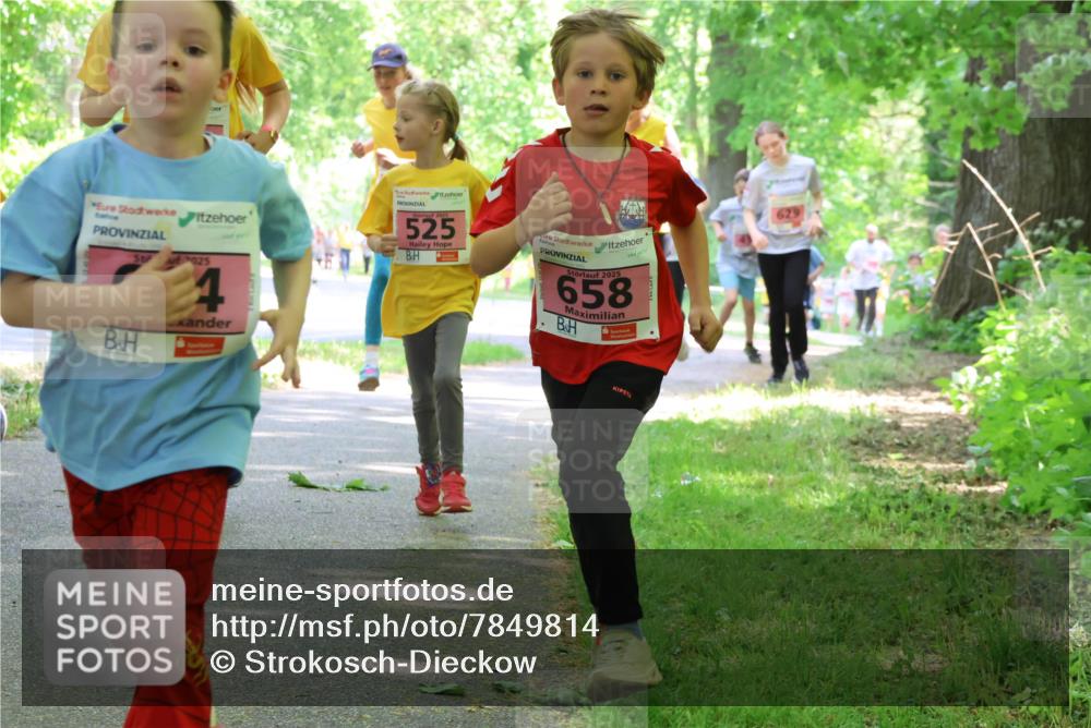 17.05.2025 - Störlauf Strokosch-Dieckow http://msf.ph/oto/7849814 17.05.2025 13:56:03 Laufen 2025, 2025, 525, 2025, 658 meine-sportfotos.de