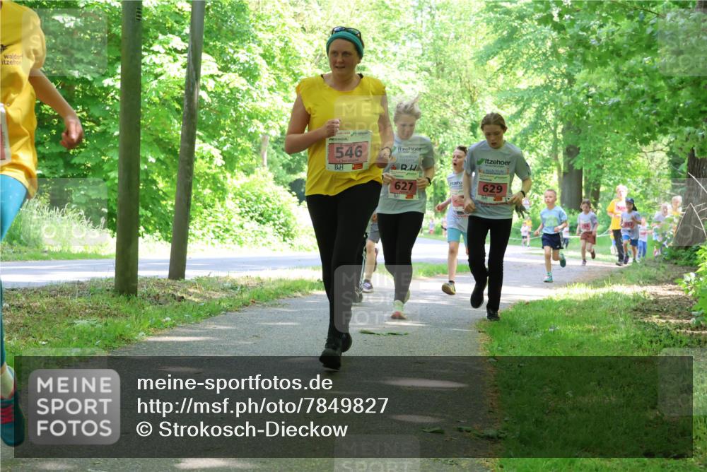 17.05.2025 - Störlauf Strokosch-Dieckow http://msf.ph/oto/7849827 17.05.2025 13:56:07 Laufen 2025, 546, 627, 629 meine-sportfotos.de