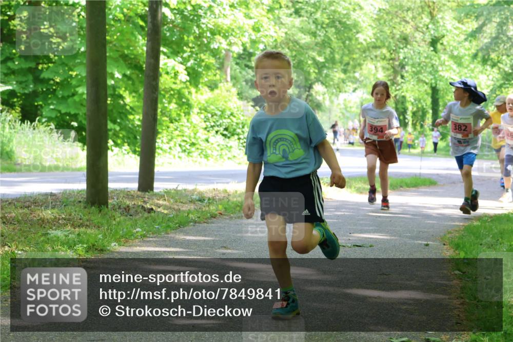 17.05.2025 - Störlauf Strokosch-Dieckow http://msf.ph/oto/7849841 17.05.2025 13:56:12 Laufen 394, 382, 46 meine-sportfotos.de