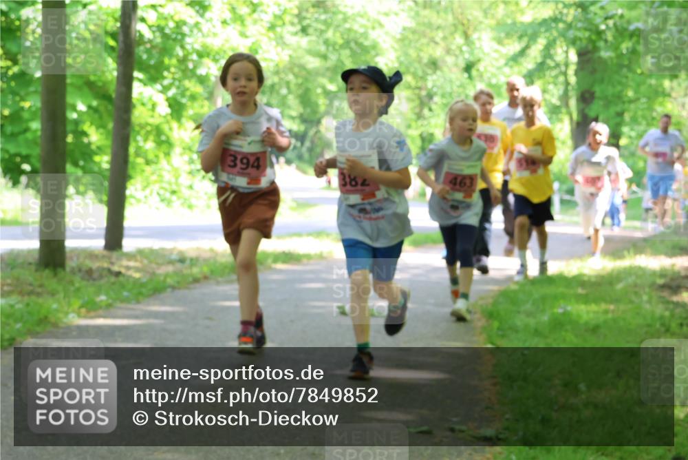 17.05.2025 - Störlauf Strokosch-Dieckow http://msf.ph/oto/7849852 17.05.2025 13:56:15 Laufen 394, 382, 463 meine-sportfotos.de
