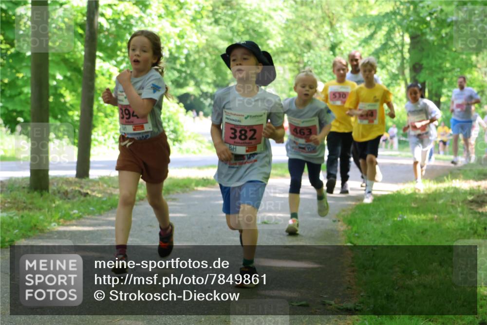 17.05.2025 - Störlauf Strokosch-Dieckow http://msf.ph/oto/7849861 17.05.2025 13:56:15 Laufen 530, 394, 382, 463 meine-sportfotos.de