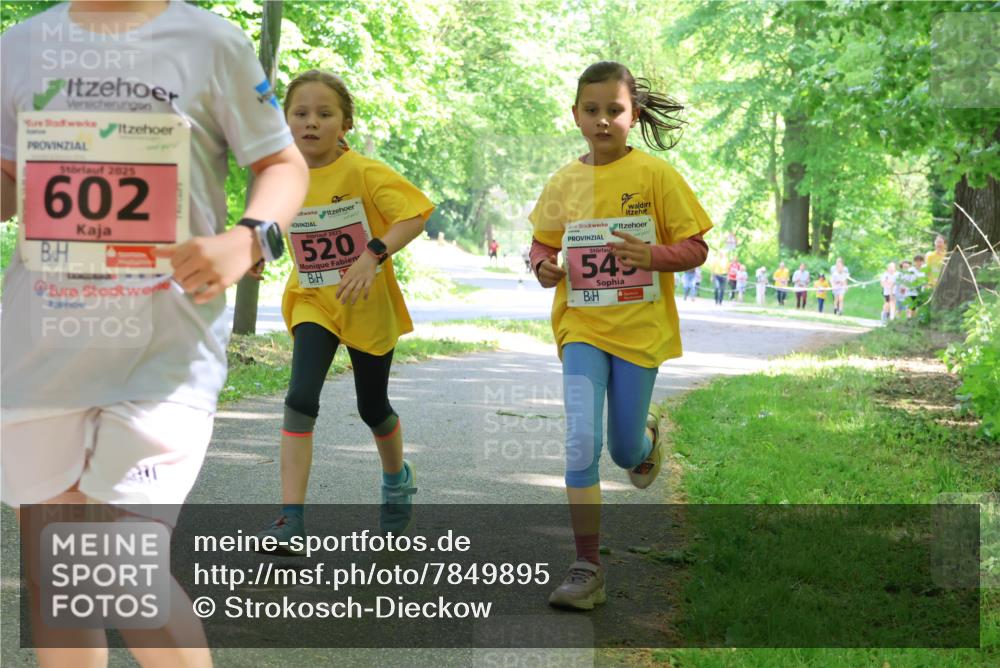 17.05.2025 - Störlauf Strokosch-Dieckow http://msf.ph/oto/7849895 17.05.2025 13:56:26 Laufen 2025, 602, 2025, 520, 549 meine-sportfotos.de
