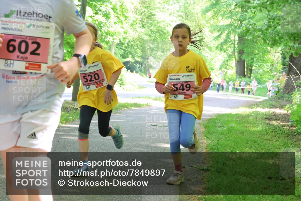 17.05.2025 - Störlauf Strokosch-Dieckow http://msf.ph/oto/7849897 17.05.2025 13:56:26 Laufen 2025, 602, 520, 5, 2025, 549 meine-sportfotos.de