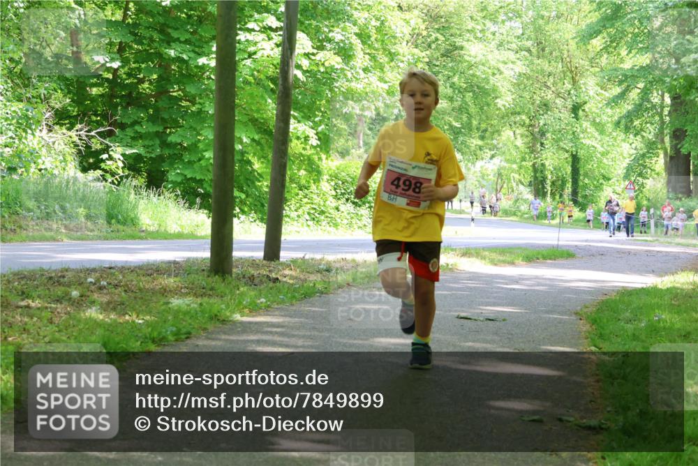 17.05.2025 - Störlauf Strokosch-Dieckow http://msf.ph/oto/7849899 17.05.2025 13:56:29 Laufen 498 meine-sportfotos.de
