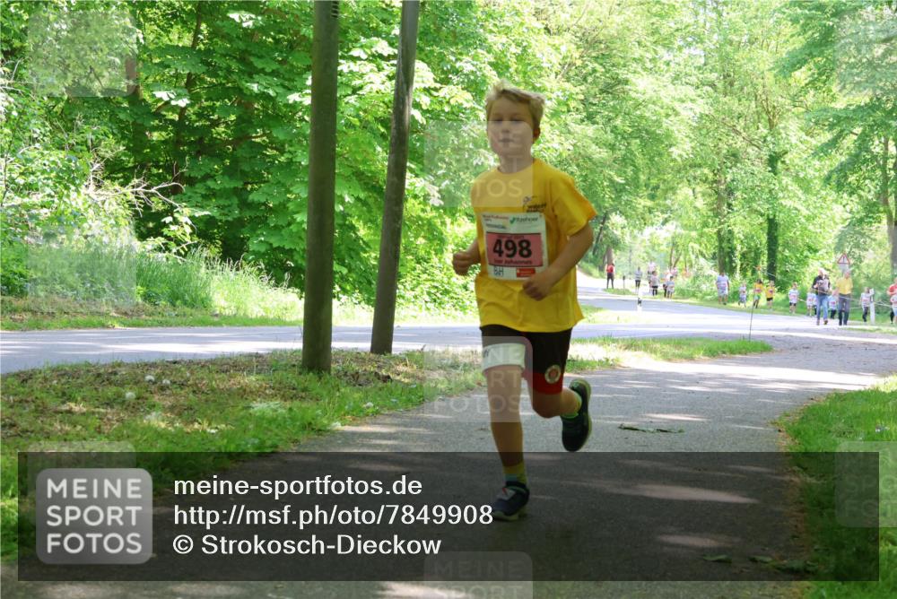 17.05.2025 - Störlauf Strokosch-Dieckow http://msf.ph/oto/7849908 17.05.2025 13:56:29 Laufen 498 meine-sportfotos.de