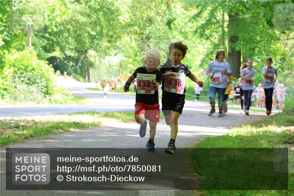 17.05.2025 - Störlauf Strokosch-Dieckow http://msf.ph/oto/7850081 17.05.2025 13:57:36 Laufen 202, 638, 636, 379, 576 meine-sportfotos.de