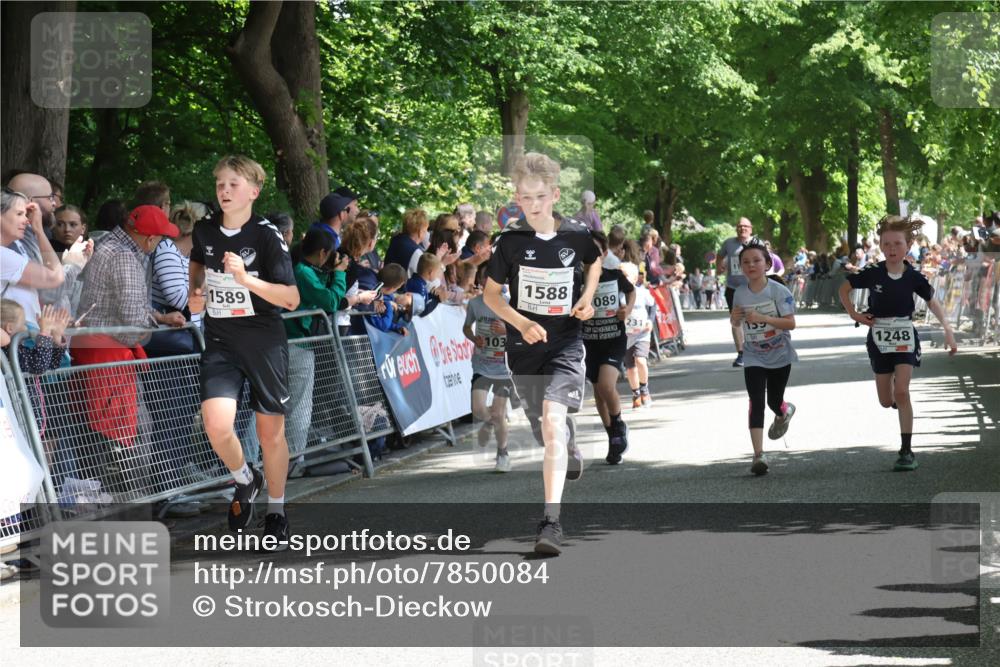 17.05.2025 - Störlauf Strokosch-Dieckow http://msf.ph/oto/7850084 17.05.2025 14:42:53 Ziel 1589, 103, 1588, 089, 231, 1248 meine-sportfotos.de