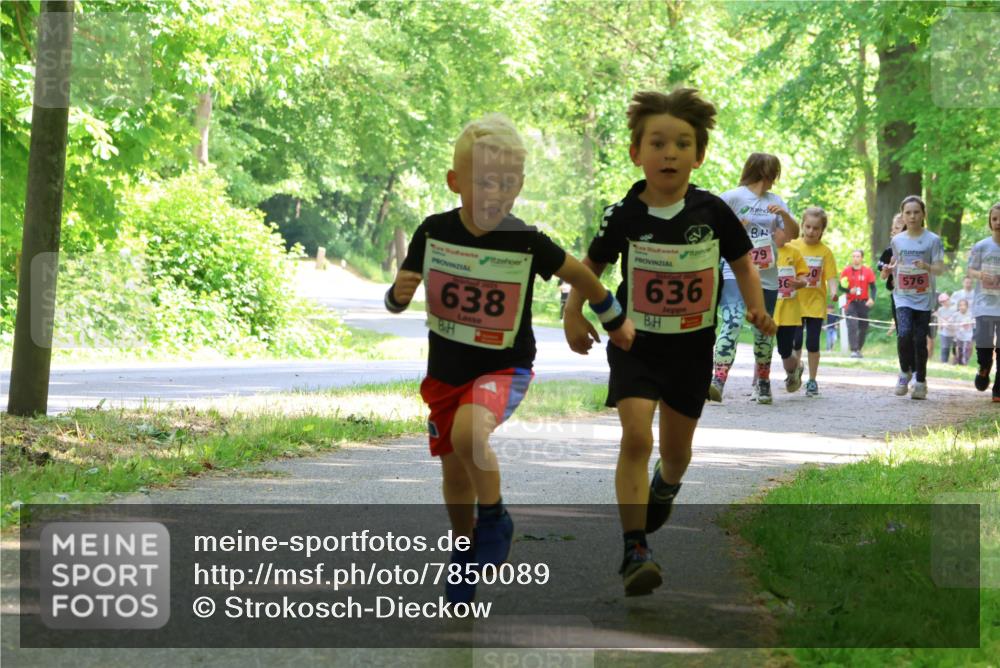 17.05.2025 - Störlauf Strokosch-Dieckow http://msf.ph/oto/7850089 17.05.2025 13:57:37 Laufen 638, 636, 79, 576 meine-sportfotos.de