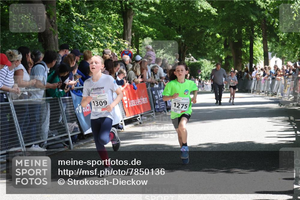 17.05.2025 - Störlauf Strokosch-Dieckow http://msf.ph/oto/7850136 17.05.2025 14:43:11 Ziel 3, 1309, 1275, 104 meine-sportfotos.de