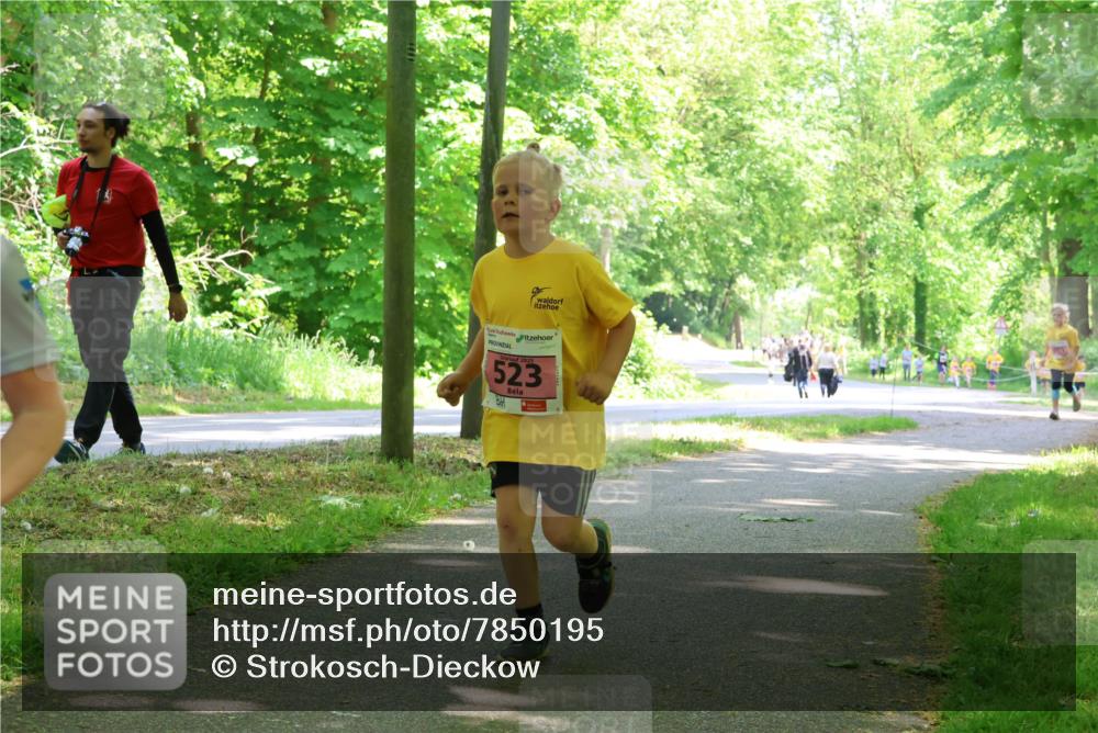 17.05.2025 - Störlauf Strokosch-Dieckow http://msf.ph/oto/7850195 17.05.2025 13:58:08 Laufen 523 meine-sportfotos.de