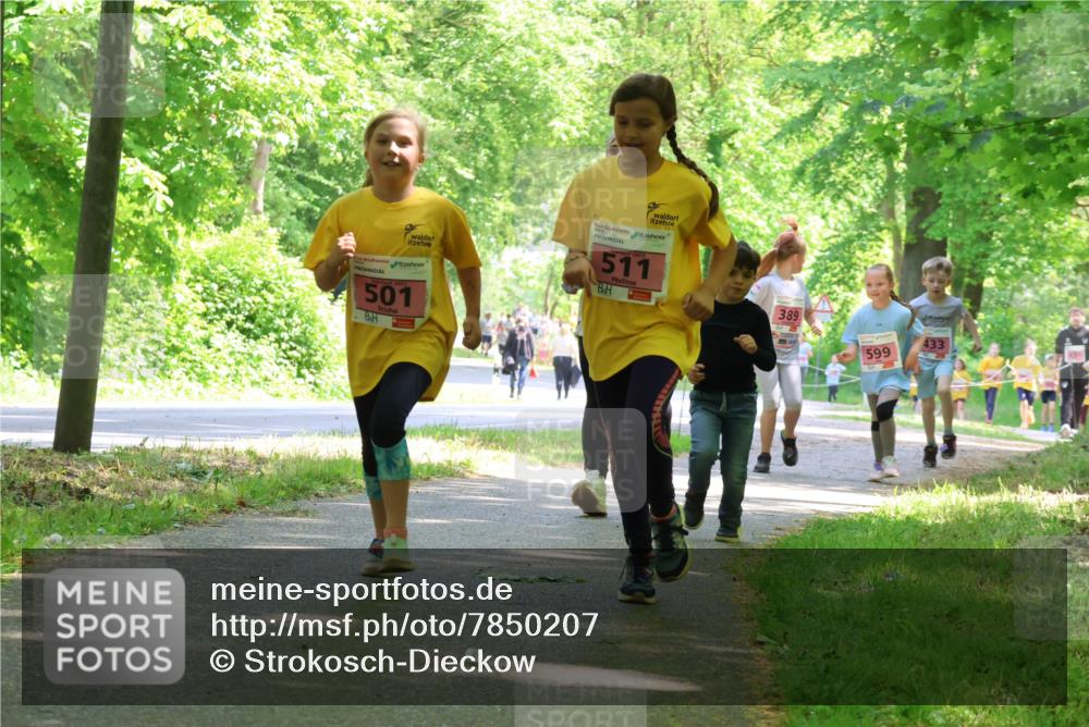17.05.2025 - Störlauf Strokosch-Dieckow http://msf.ph/oto/7850207 17.05.2025 13:58:14 Laufen 501, 511, 389, 433, 599 meine-sportfotos.de