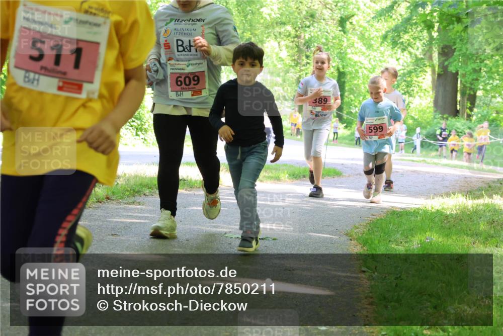 17.05.2025 - Störlauf Strokosch-Dieckow http://msf.ph/oto/7850211 17.05.2025 13:58:16 Laufen 511, 609, 389, 599 meine-sportfotos.de