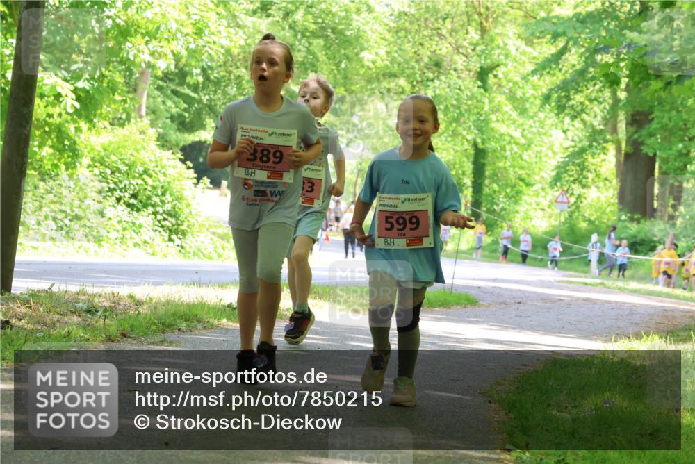 17.05.2025 - Störlauf Strokosch-Dieckow http://msf.ph/oto/7850215 17.05.2025 13:58:18 Laufen 389, 3, 599 meine-sportfotos.de