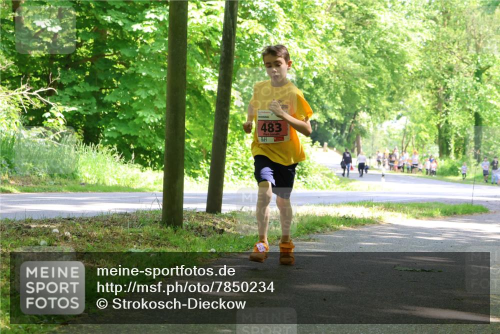 17.05.2025 - Störlauf Strokosch-Dieckow http://msf.ph/oto/7850234 17.05.2025 13:58:30 Laufen 2025, 483 meine-sportfotos.de