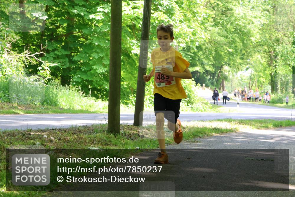 17.05.2025 - Störlauf Strokosch-Dieckow http://msf.ph/oto/7850237 17.05.2025 13:58:30 Laufen 485 meine-sportfotos.de
