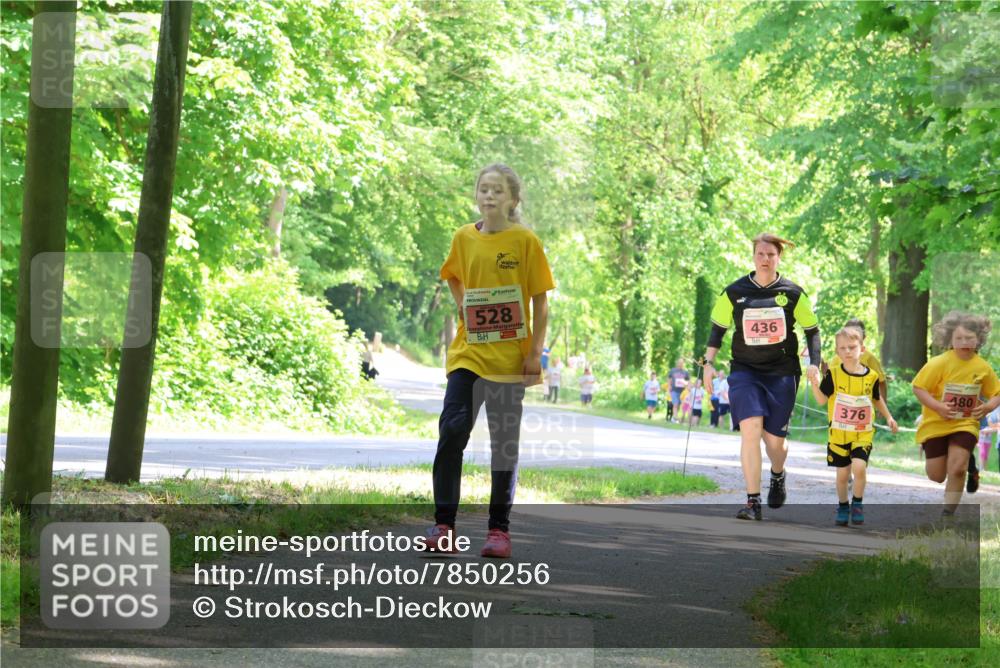 17.05.2025 - Störlauf Strokosch-Dieckow http://msf.ph/oto/7850256 17.05.2025 13:58:43 Laufen 528, 436, 376, 480 meine-sportfotos.de