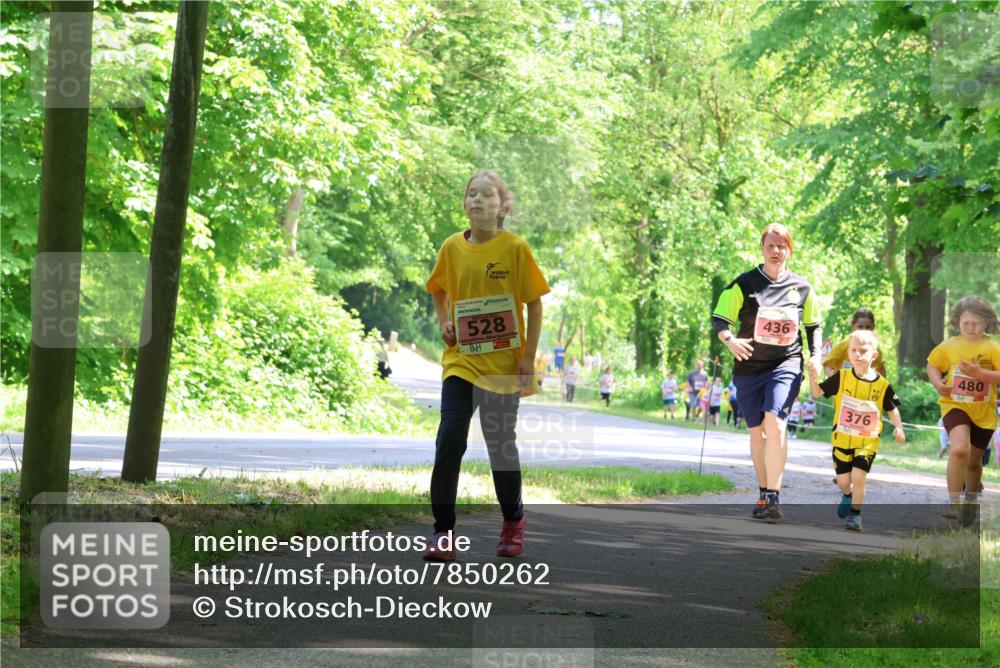 17.05.2025 - Störlauf Strokosch-Dieckow http://msf.ph/oto/7850262 17.05.2025 13:58:43 Laufen 528, 436, 376, 480 meine-sportfotos.de