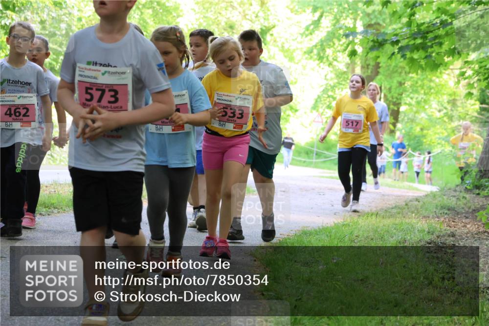 17.05.2025 - Störlauf Strokosch-Dieckow http://msf.ph/oto/7850354 17.05.2025 13:59:34 Laufen 2025, 462, 2025, 573, 533, 517 meine-sportfotos.de