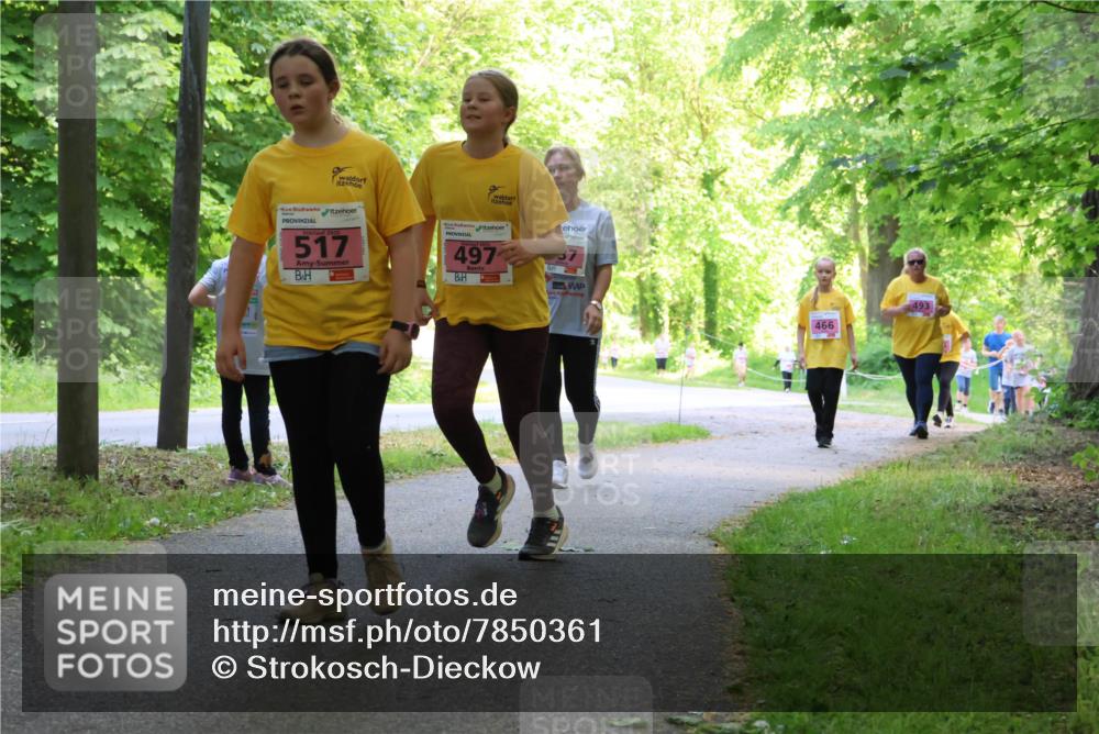 17.05.2025 - Störlauf Strokosch-Dieckow http://msf.ph/oto/7850361 17.05.2025 13:59:43 Laufen 517, 497, 466, 493 meine-sportfotos.de