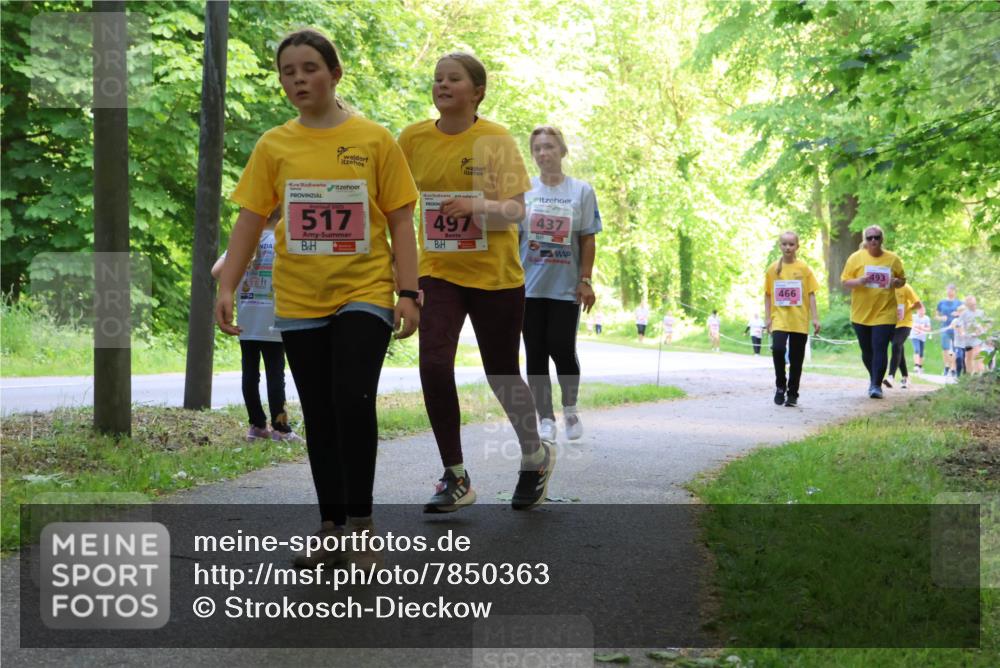 17.05.2025 - Störlauf Strokosch-Dieckow http://msf.ph/oto/7850363 17.05.2025 13:59:43 Laufen 517, 497, 437, 466, 493 meine-sportfotos.de
