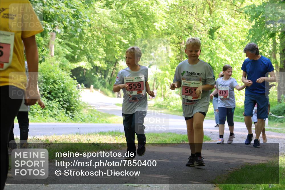 17.05.2025 - Störlauf Strokosch-Dieckow http://msf.ph/oto/7850400 17.05.2025 14:00:00 Laufen 559, 2025, 561, 417 meine-sportfotos.de