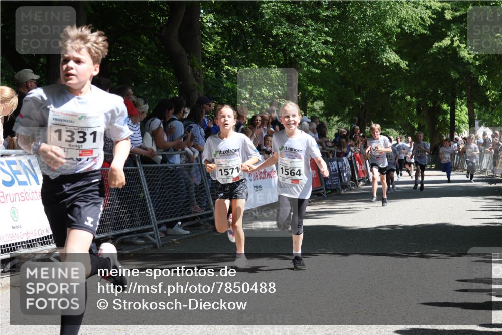 17.05.2025 - Störlauf Strokosch-Dieckow http://msf.ph/oto/7850488 17.05.2025 14:46:17 Ziel 2025, 1331, 1571, 1564, 16, 1373, 15, 1245 meine-sportfotos.de