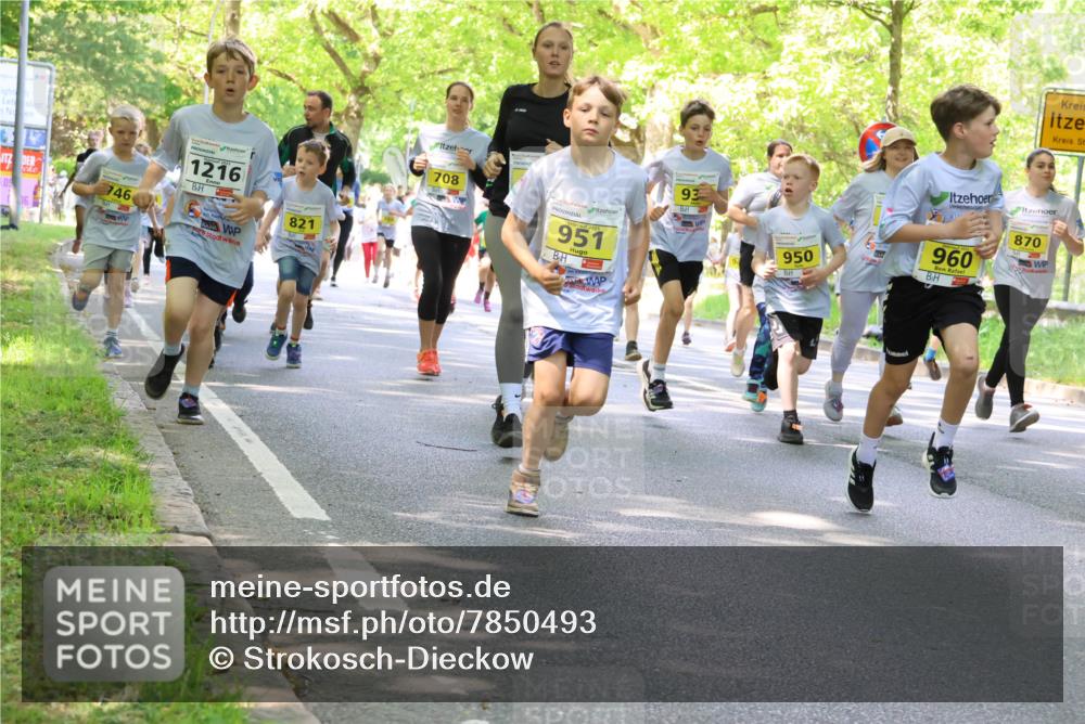 17.05.2025 - Störlauf Strokosch-Dieckow http://msf.ph/oto/7850493 17.05.2025 14:01:21 Laufen 746, 1216, 821, 708, 951, 93, 950, 960, 870 meine-sportfotos.de