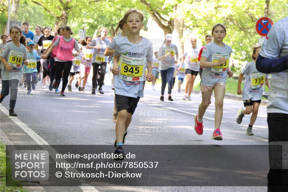 17.05.2025 - Störlauf Strokosch-Dieckow http://msf.ph/oto/7850537 17.05.2025 14:01:46 Laufen 916, 910, 901, 822, 961, 2025, 945, 739 meine-sportfotos.de