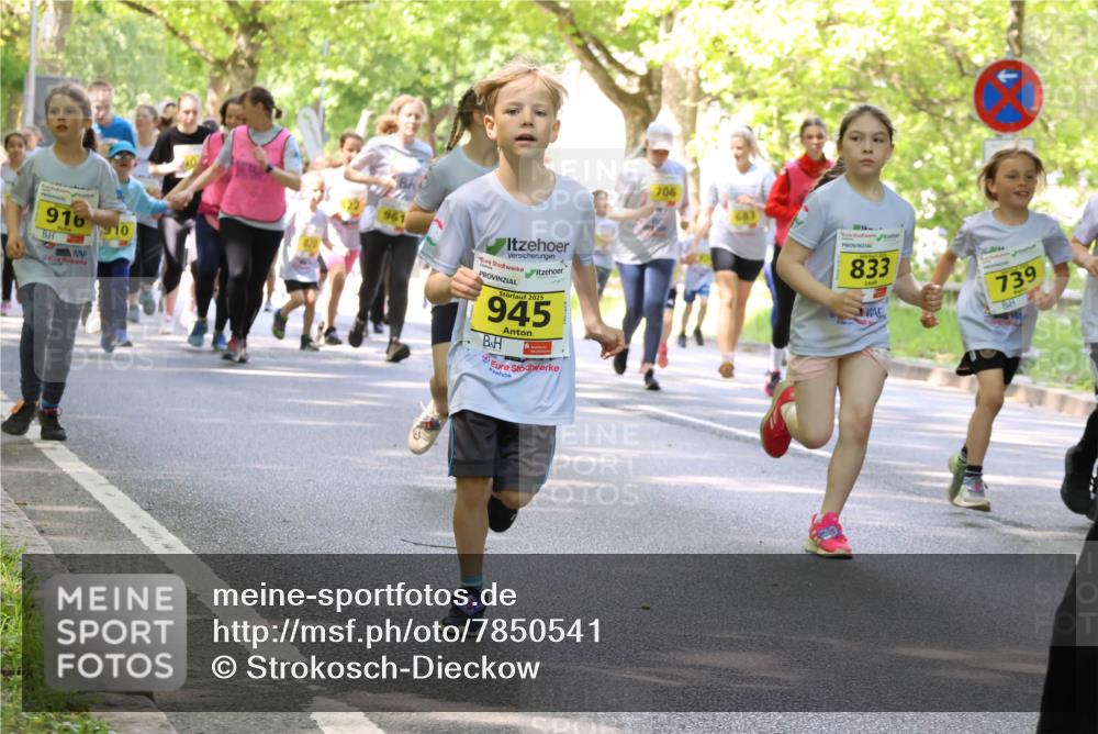 17.05.2025 - Störlauf Strokosch-Dieckow http://msf.ph/oto/7850541 17.05.2025 14:01:47 Laufen 916, 10, 122, 961, 2025, 945, 833, 739 meine-sportfotos.de