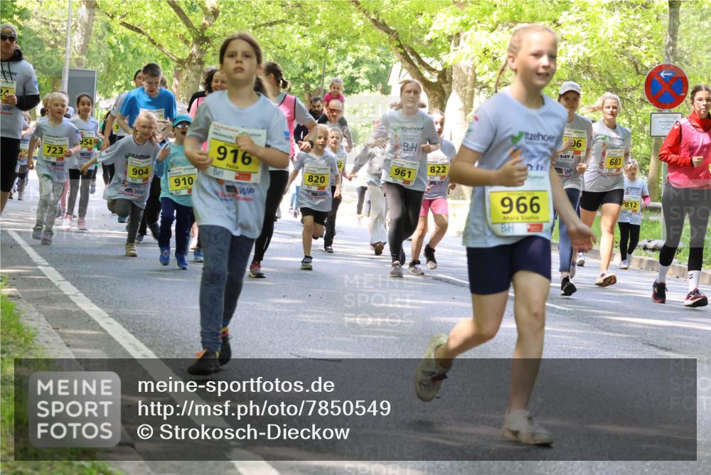 17.05.2025 - Störlauf Strokosch-Dieckow http://msf.ph/oto/7850549 17.05.2025 14:01:49 Laufen 723, 954, 904, 916, 910, 820, 961, 822, 06, 966, 683, 812 meine-sportfotos.de