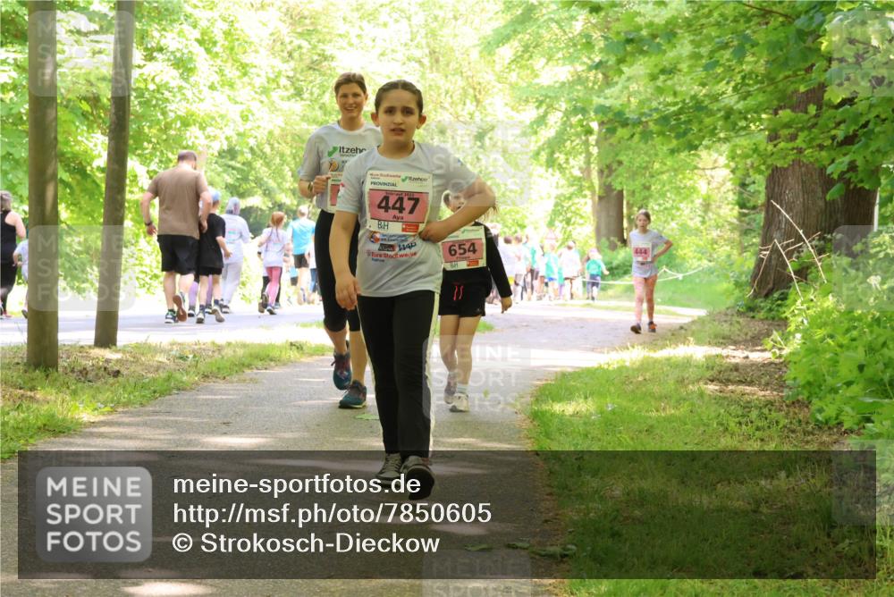 17.05.2025 - Störlauf Strokosch-Dieckow http://msf.ph/oto/7850605 17.05.2025 14:02:24 Laufen 2025, 447, 654, 444 meine-sportfotos.de