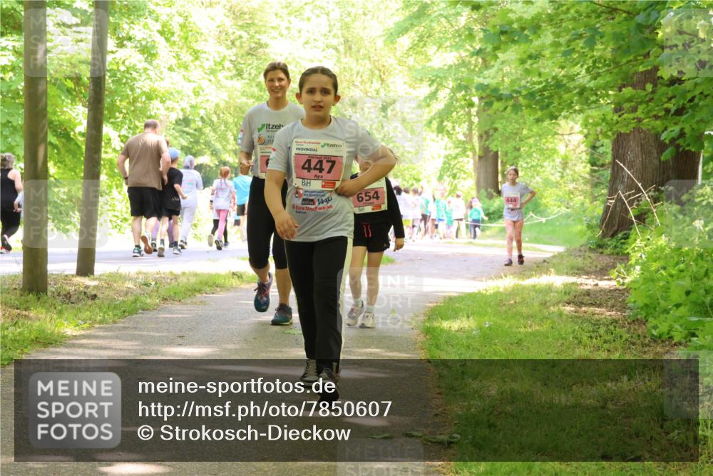 17.05.2025 - Störlauf Strokosch-Dieckow http://msf.ph/oto/7850607 17.05.2025 14:02:24 Laufen 2025, 447, 654, 444 meine-sportfotos.de