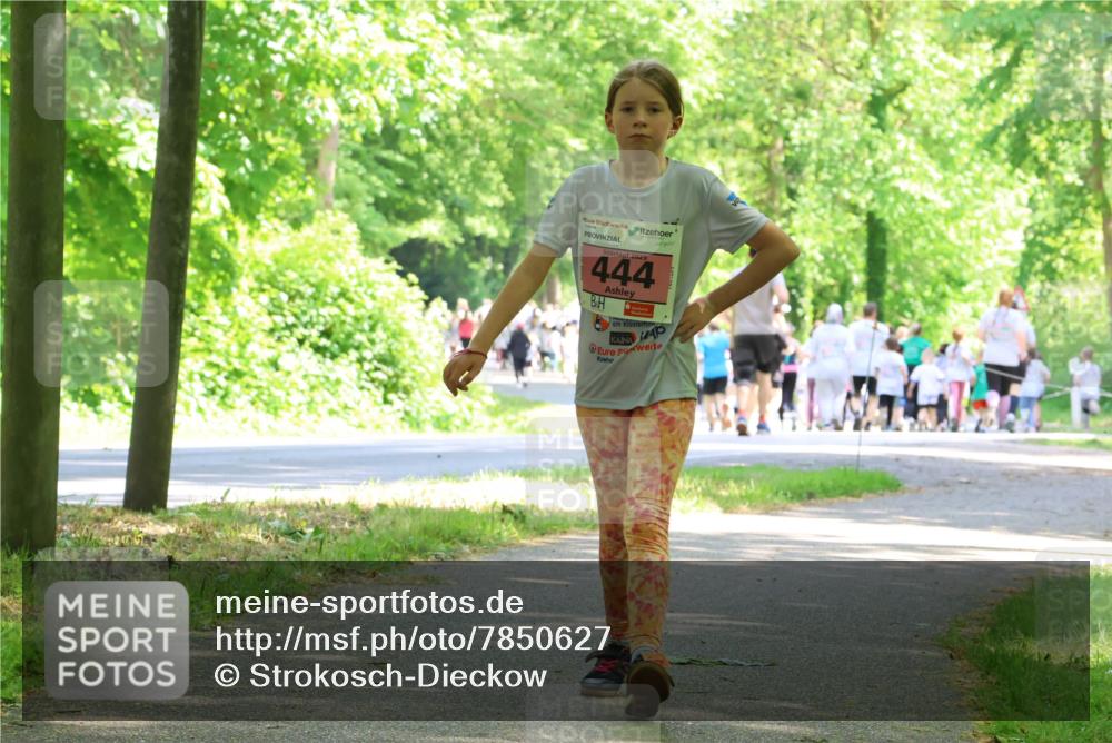 17.05.2025 - Störlauf Strokosch-Dieckow http://msf.ph/oto/7850627 17.05.2025 14:02:35 Laufen 2025, 444 meine-sportfotos.de